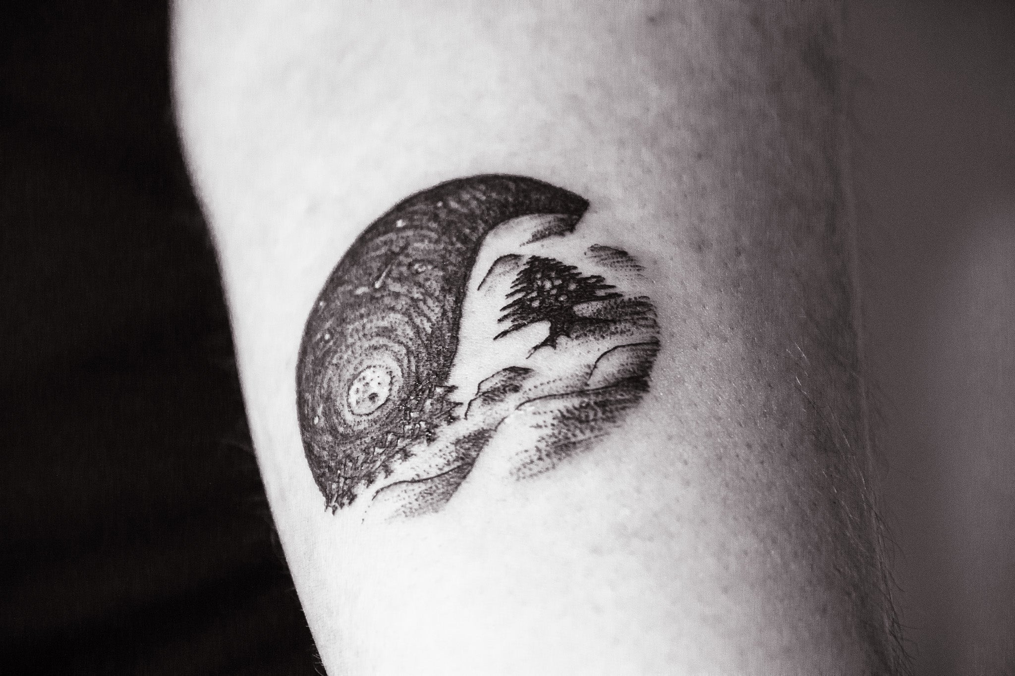 Embracing Balance – A Cedar in a Yin-Yang Tattoo for Cedra - Crystel Samia Universe