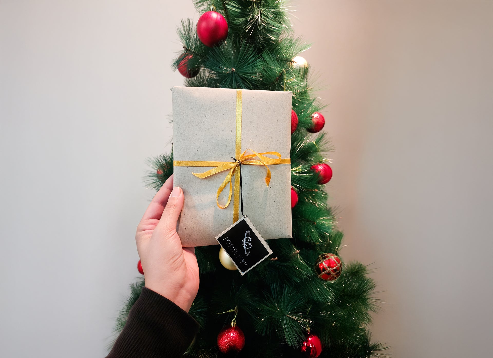 hand holding hand-made Christmas gift by CSU in front of a xmas tree